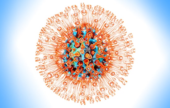 Herpes simplex virus vector